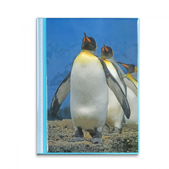 Many Antarctic Penguins Nature Science Picture Book Sheet Protectors Portfolio Binder Folder