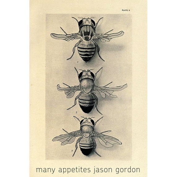 Many Appetites Paperback 1949966542 9781949966541 Jason Gordon