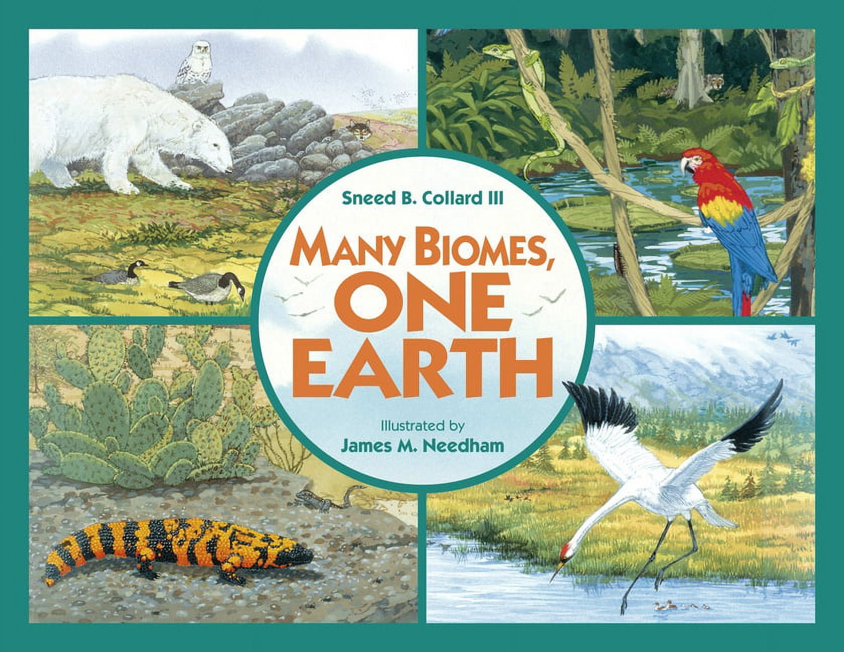 Many Biomes, One Earth, (Paperback) - Walmart Business Supplies