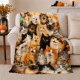 thumbnail image 1 of Many Cat Portraits with Autumn Leaves, Realistic Painterly Style for Cat Lovers, Cozy Orange Gallery Scene, Flannel Blanket for Living Room and Bedroom, Birthday Gift and Cat Home Decor, 1 of 9