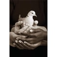 thumbnail image 1 of Many Hands Holding A Dove Poster Print by Ron Nickel, 12 x 18, 1 of 1