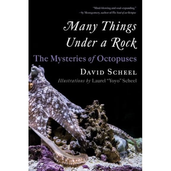 Pre-Owned Many Things Under a Rock: The Mysteries of Octopuses (Paperback) 1324076291 9781324076292