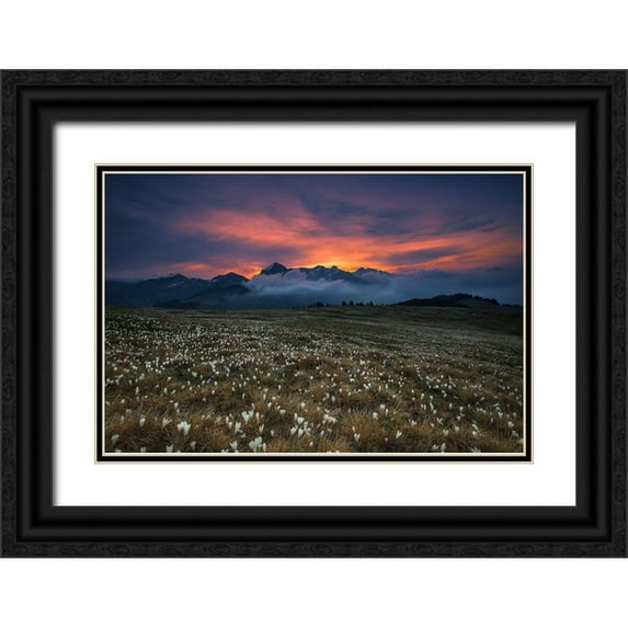 Manzoni, Michel 14x11 Black Ornate Wood Framed with Double Matting Museum Art Print Titled - Blooming Dawn