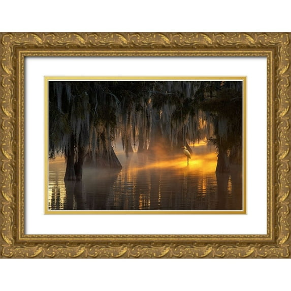 Mao, Dianne 24x17 Gold Ornate Wood Framed with Double Matting Museum Art Print Titled - Under Spanish Moss