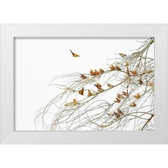 Mao, Dianne 32x23 White Modern Wood Framed Museum Art Print Titled - Winter Monarchies