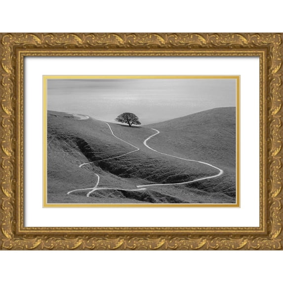 Mao, Yun 14x11 Gold Ornate Wood Framed with Double Matting Museum Art Print Titled - Lonely Tree