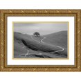 thumbnail image 1 of Mao, Yun 24x17 Gold Ornate Wood Framed with Double Matting Museum Art Print Titled - Lonely Tree, 1 of 4