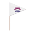 thumbnail image 1 of Mao Ze Urban Tourism Beijing China Toothpick Triangle Cupcake Toppers Flag, 1 of 3