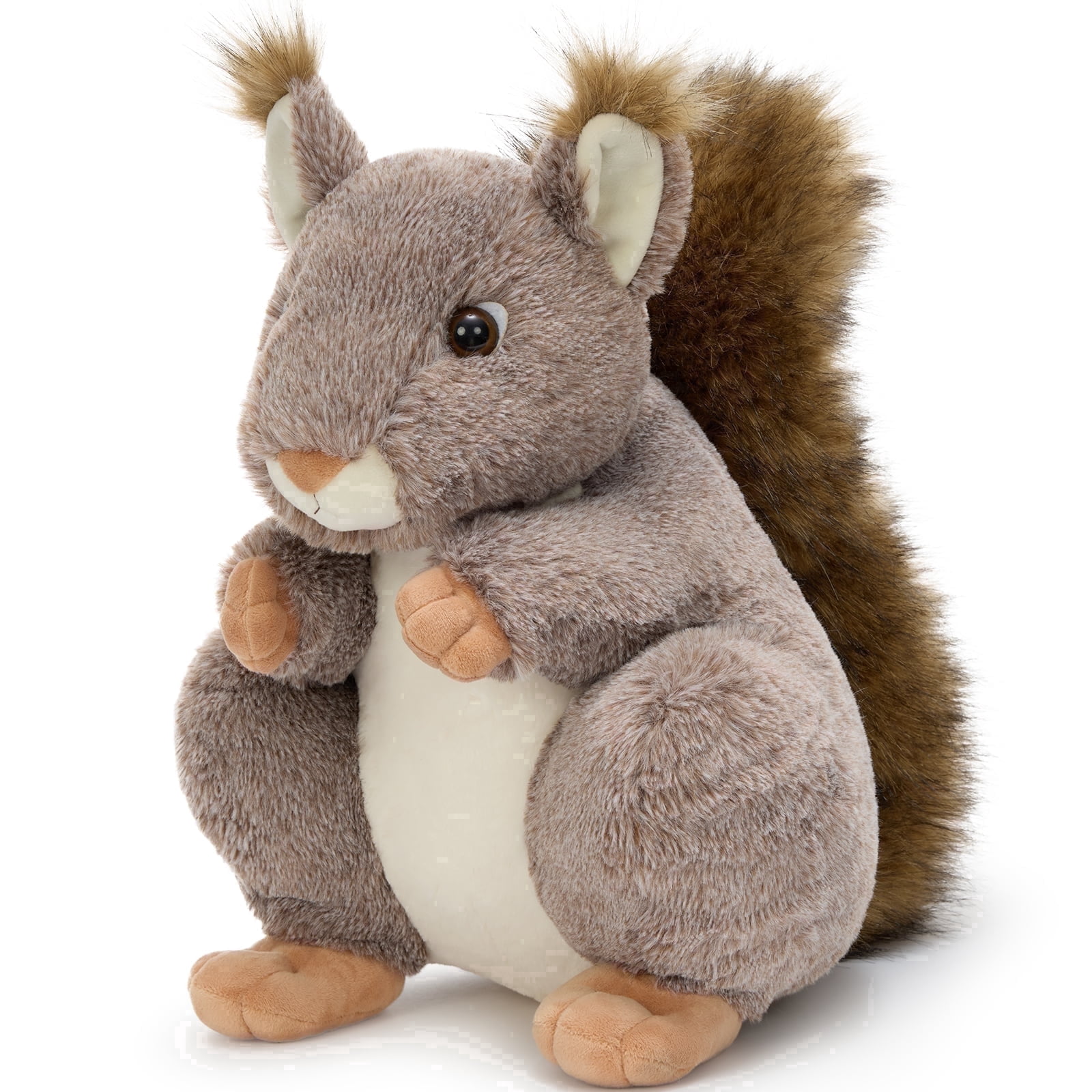Squirrel-Brown