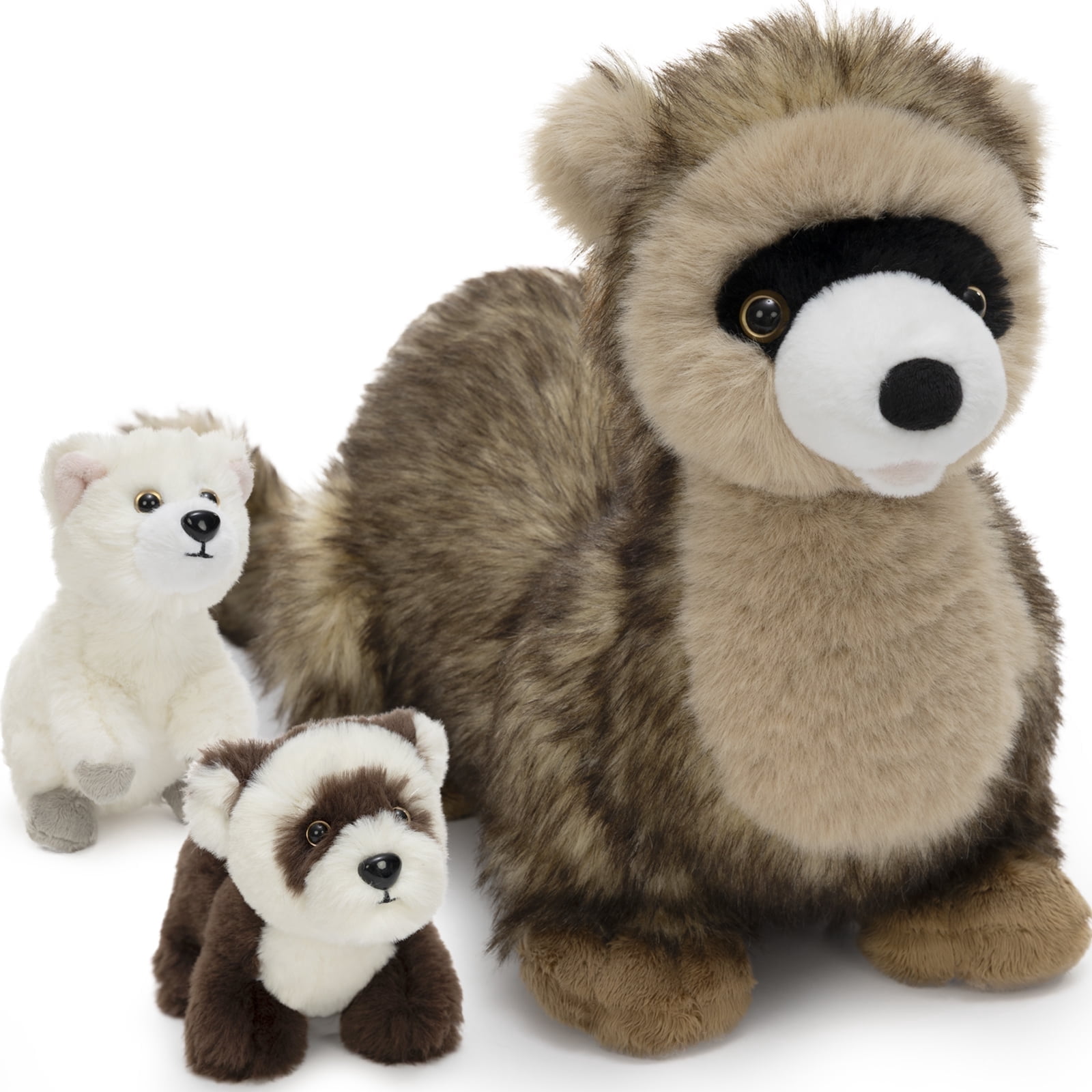 Ferret|Brown