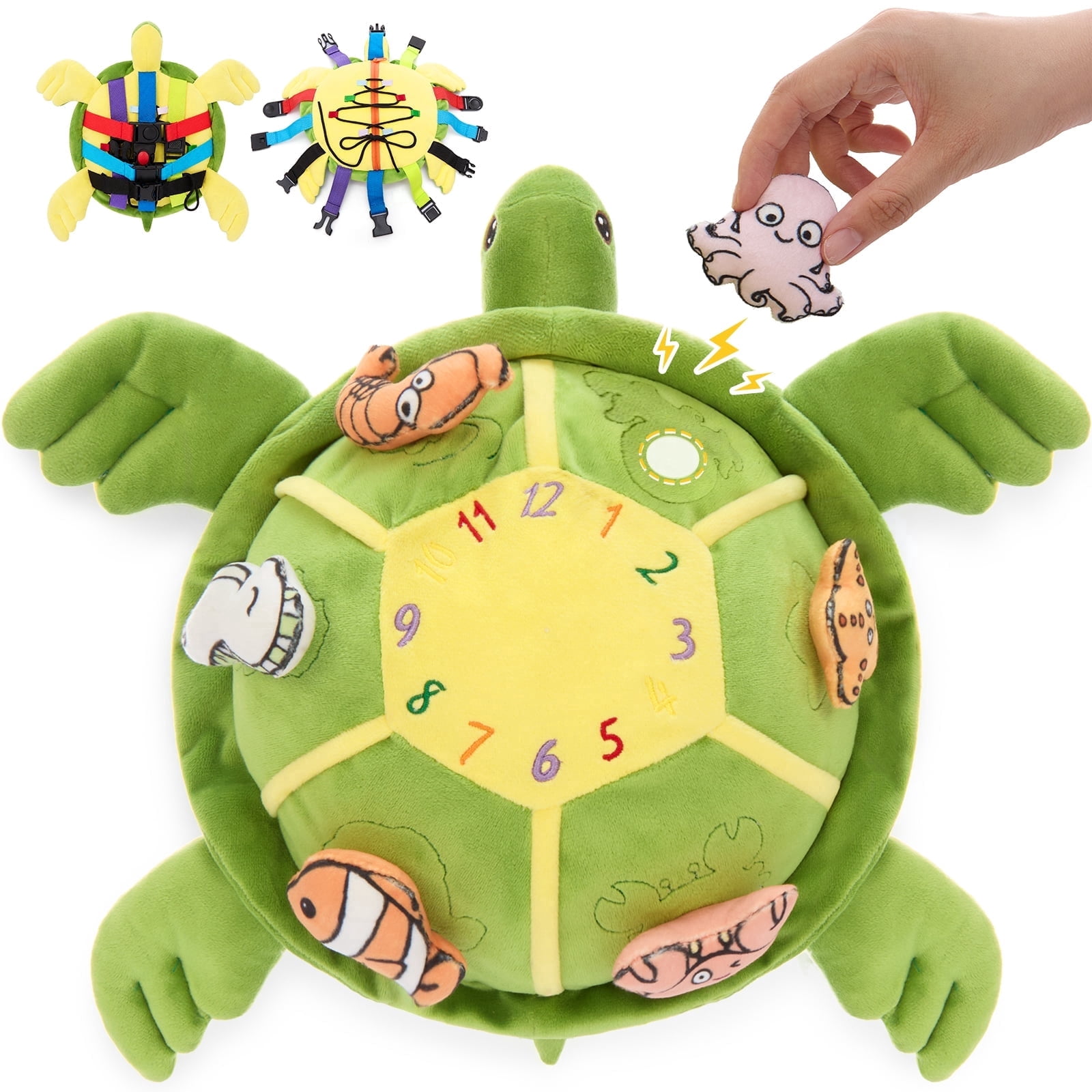 Turtle-Green