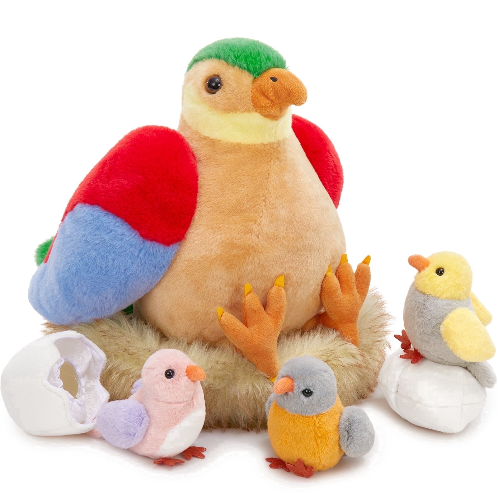 Bird -colourful