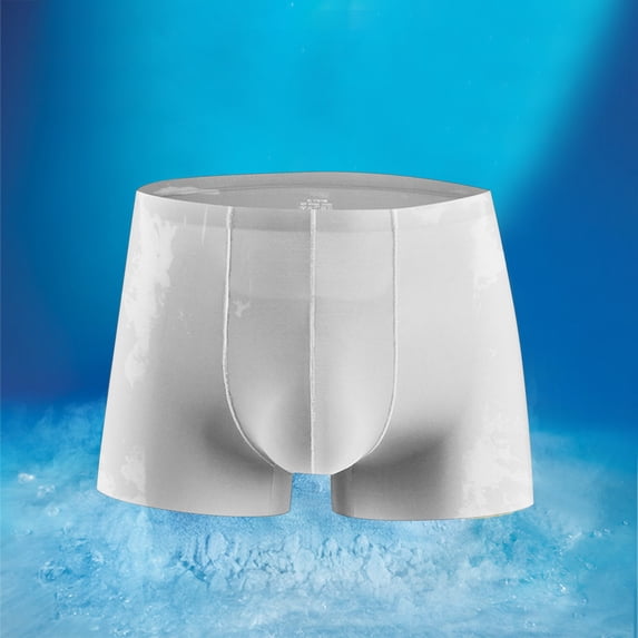Maoxin Mens Boxer Briefs Ice Silk Traceless-dry Loose Breathable Elastic Exercise Home Flat Angle Underpants Man Underwear Silver 2XL