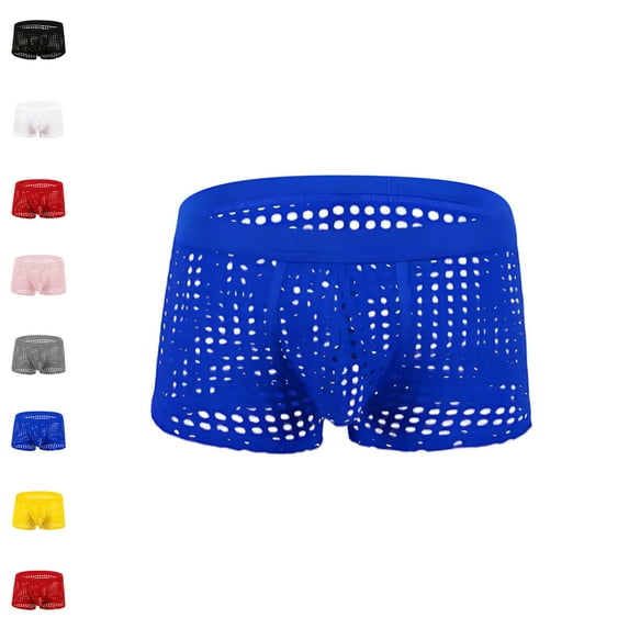 Mens Underwear Mesh Hollowed Out Sexy Solid Color Vent Underpants Men's Boxer Briefs Blue XL
