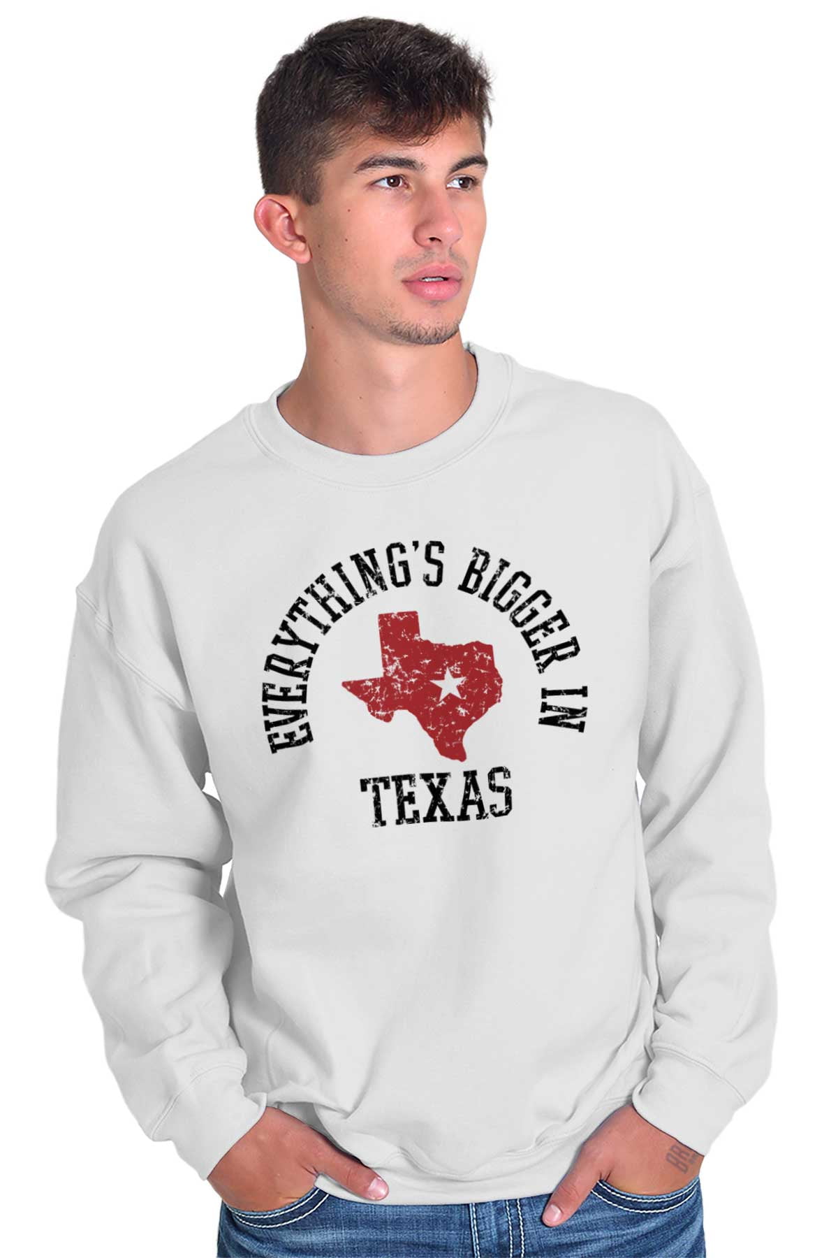Sweat à Capuche Gildan Ft. Worth Texas The Lone Star State - Taille M - Occasion TB
