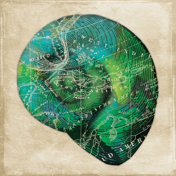 Map Shell2 by Unknown (24 x 24)