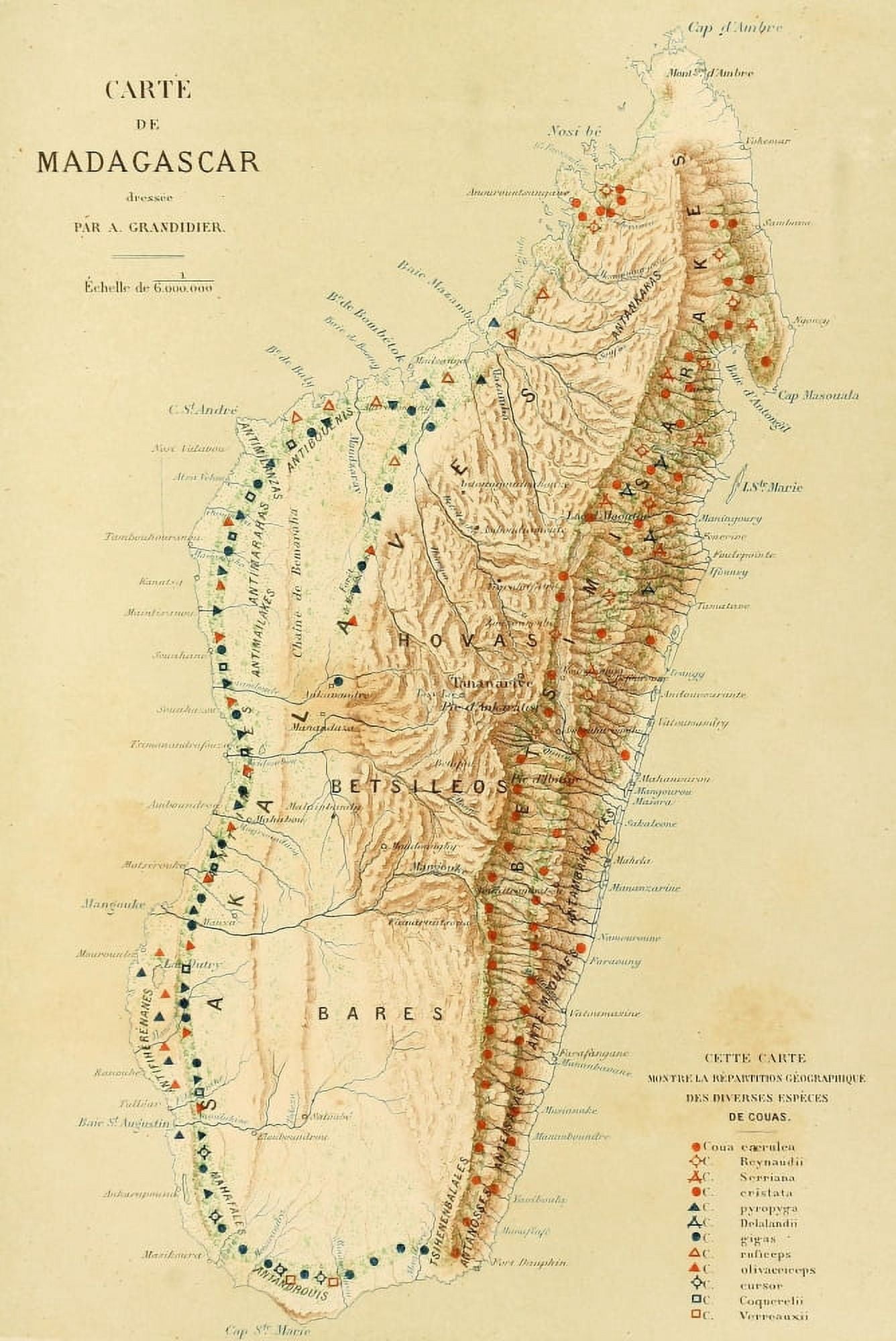 Map The Natural History of Madagascar 1885 Madagascar Canvas Art - (24 x 36)