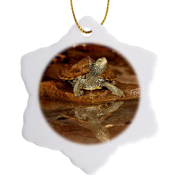 3drose, Map Turtle, Native to Northeastern Us - Na02 Dno0806 - David Northcott, 3 inch Snowflake Porcelain Ornament