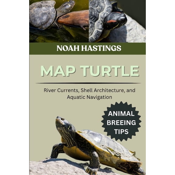 Map Turtle: River Currents, Shell Architecture, and Aquatic Navigation, (Paperback)