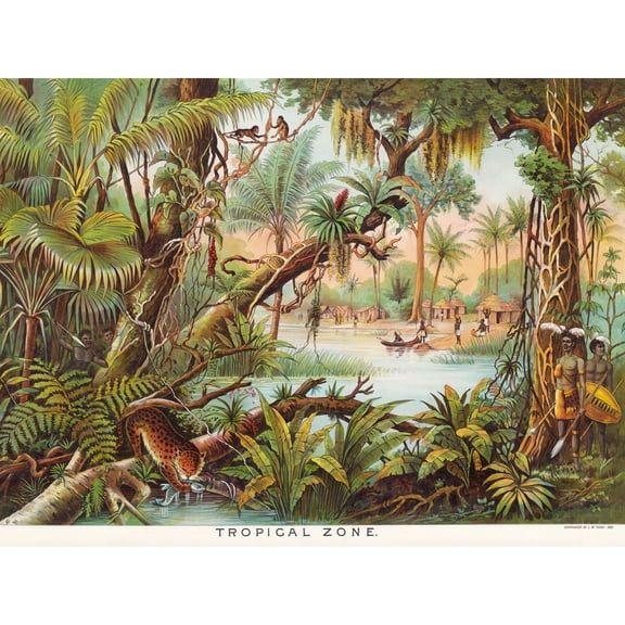 Map Yaggy 1893 Tropical Zone Jungle Animals Extra Large XL Wall Art Poster Print