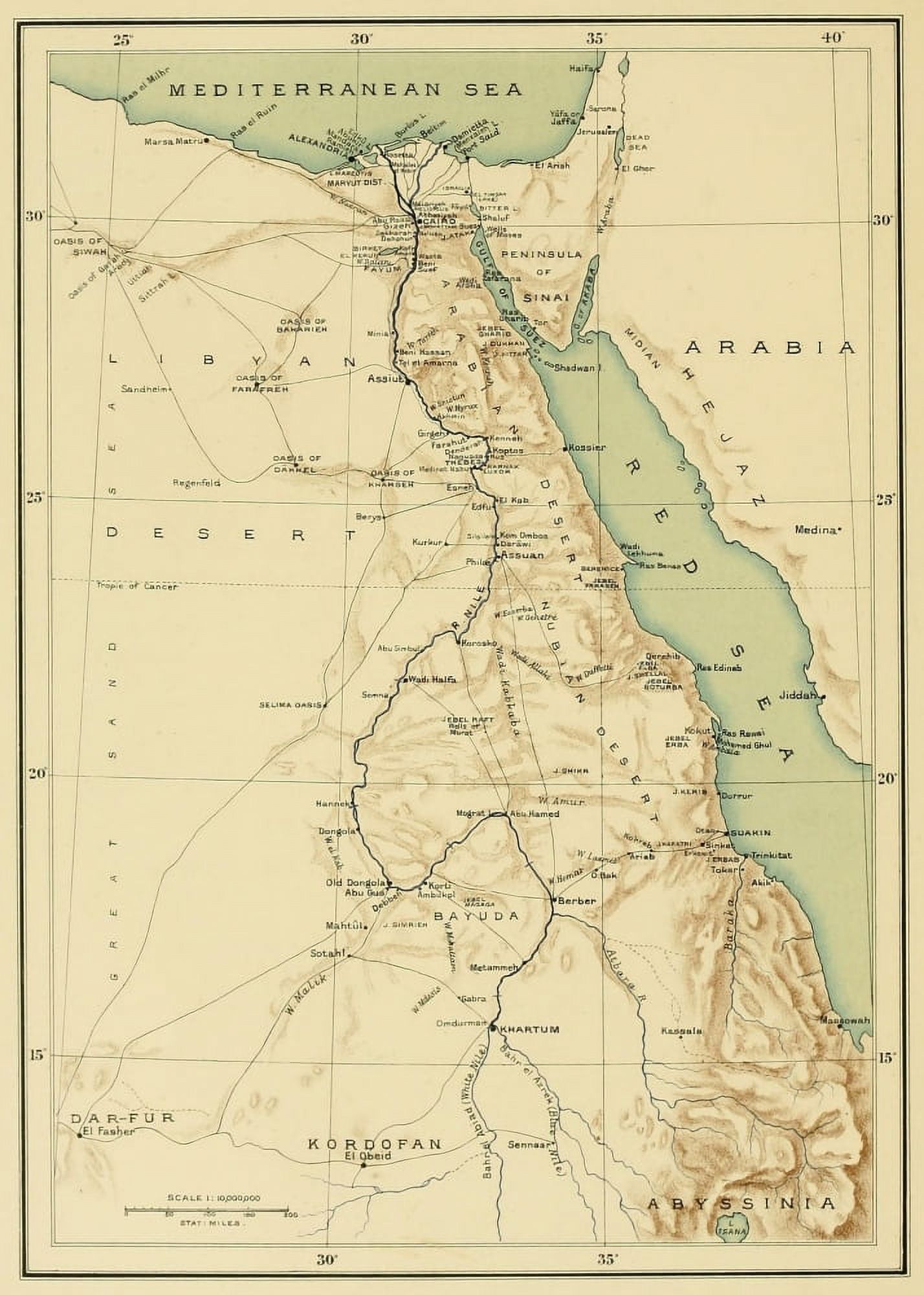 Map Zoology of Egypt 1898 Egypt Canvas Art - (18 x 24)