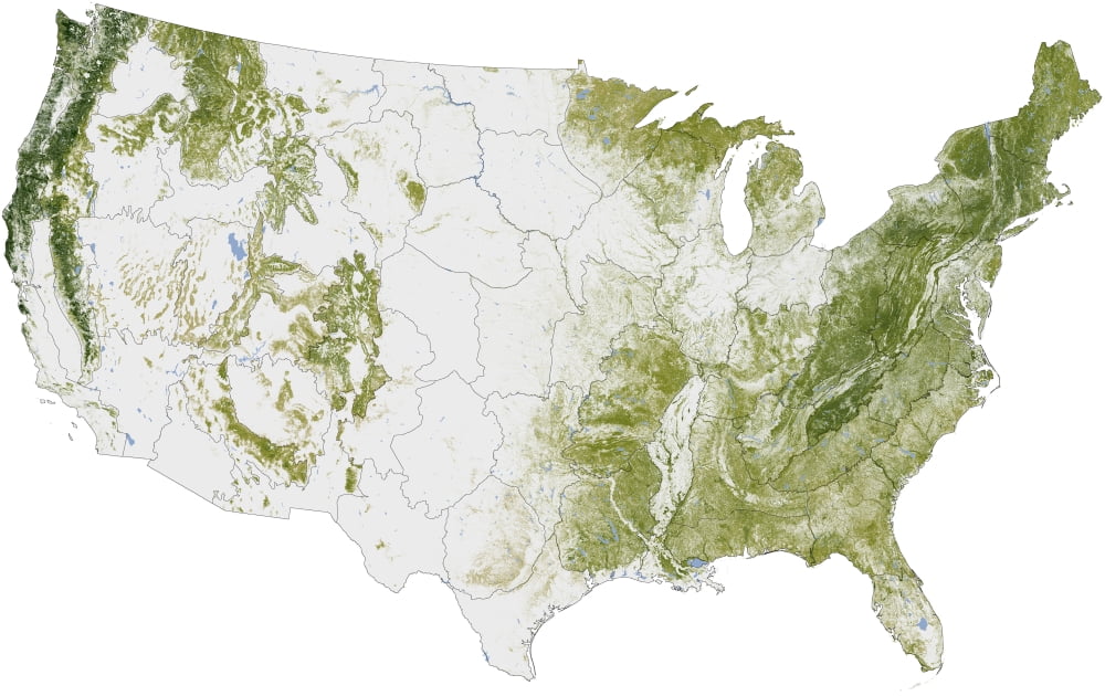 Map of the United States showing the concentration of biomass Canvas Art - Stocktrek Images (36 x 23)