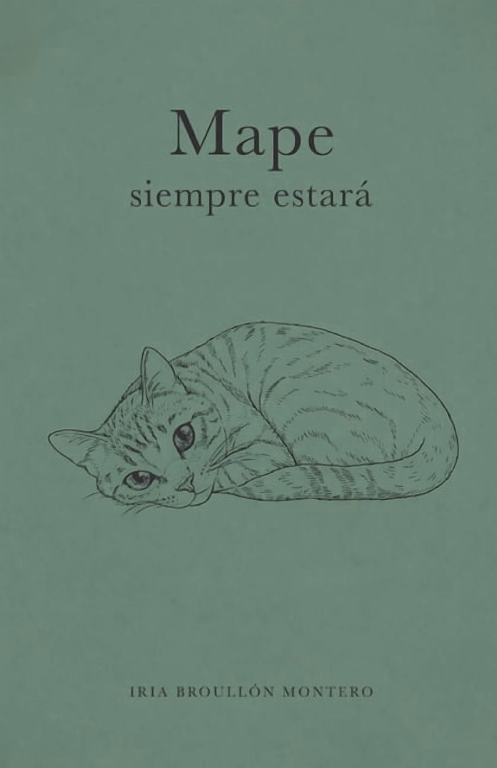 Mape siempre estarÃ¡, (Paperback)