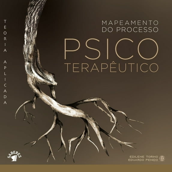 Mapeamento do processo psicoterapêutico (Paperback)