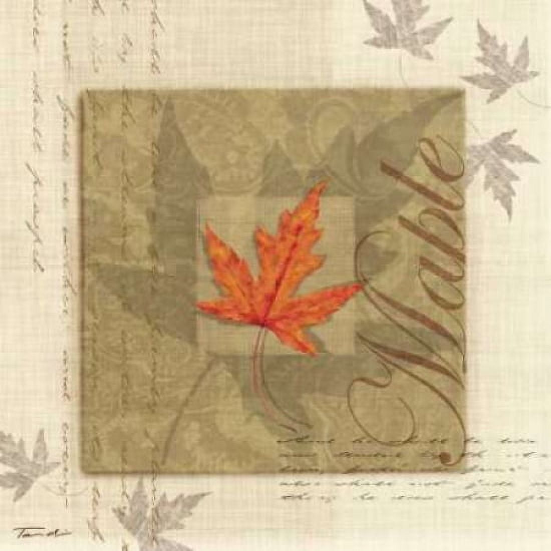 Maple Canvas Art - Tandi Venter (24 x 24)