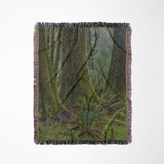 Maple Glade Trail In The Quinault Rain Forest In Olympic Np, Wa, Woven Blanket