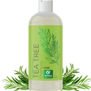 Clarifying Shampoo for Build Up & Oily Hair - Tea Tree Shampoo for Men and Women with Rosemary Essential Oil for Oily Hair and Scalp - Color Safe Vegan Sulfate Silicone & Paraben Free 10 Fl Oz