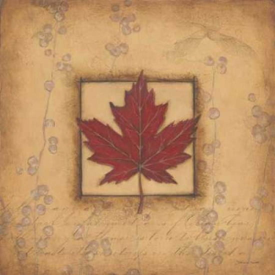 Maple Leaf Canvas Art - Stephanie Marrott (24 x 24)
