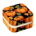 thumbnail image 1 of Maple Leaf Pumpkin Travel Portable Square Display Case: Earring and Necklace Organizer - Ideal for Girls and Women, 1 of 6