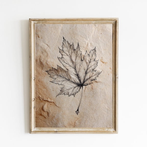 Maple Leaf Sketch Vintage Botanical Wall Art Poster Neutral Wall Decor Poster Minimalistic Botanical Sketch able Cottagecore Decor Poster E1176, Unframed Poster Size 8x12 F03.1.18l542