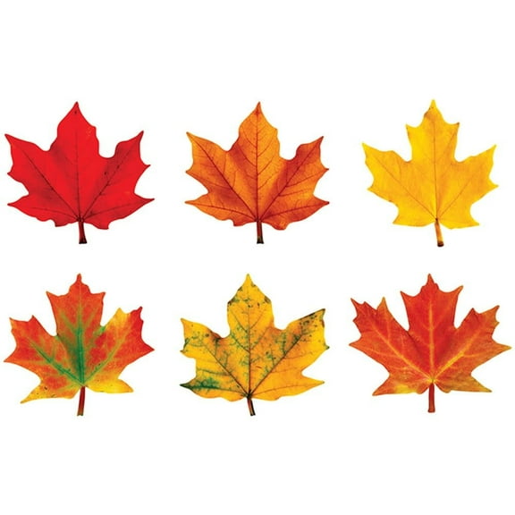 Maple Leaves Classic Accents® Variety Pack [T10958]