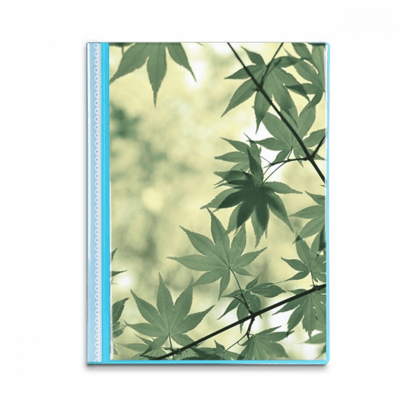 Maple   Picture Nature Book Sheet Protectors Portfolio Binder Folder
