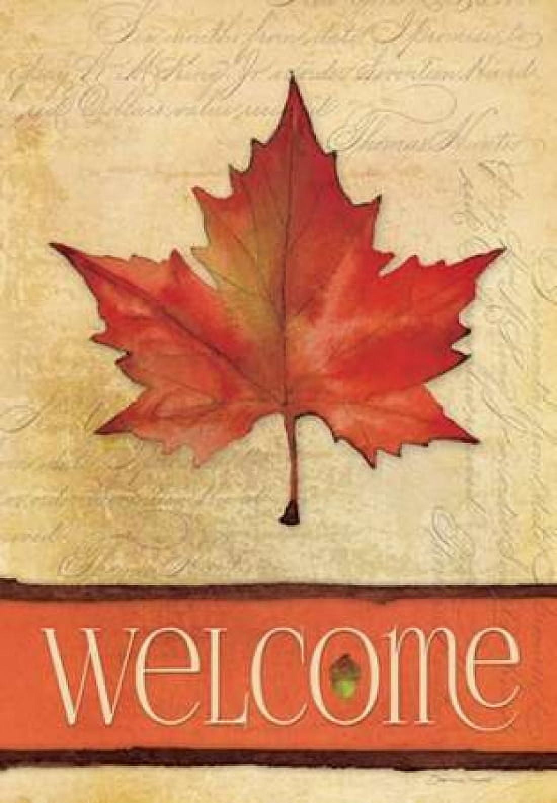 Maple in Fall II Canvas Art - Stephanie Marrott (20 x 28)