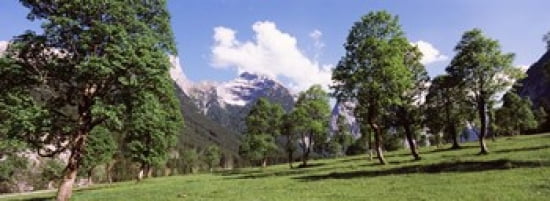 Maple trees with mountain range in the background Karwendel Mountains Risstal Valley Hinterriss Tyrol Austria Canvas Art - Panoramic Images (36 x 13)