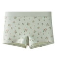 thumbnail image 1 of Maplenight Women's Cotton Boxers Briefs Stretch Soft Breathable Ladies Panties Mid Rise Waist Printed Underwear, 1 of 6