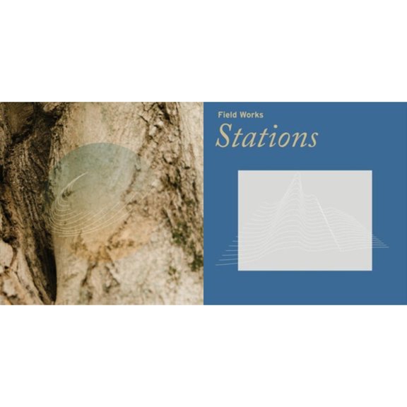 Maples Ash & Oaks: Cedars Instrumentals (Iridescent Mother Of Pearl W/ Green Undertone) & Stations [LP Vinyl Bundle]