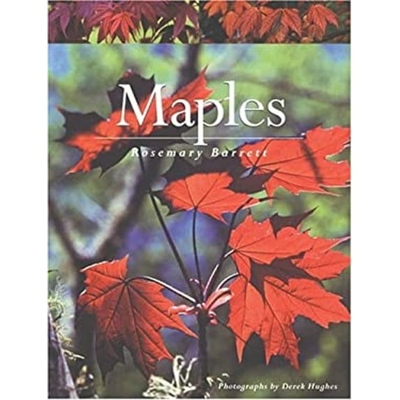 Pre-Owned Maples (Paperback) 1552978842 9781552978849