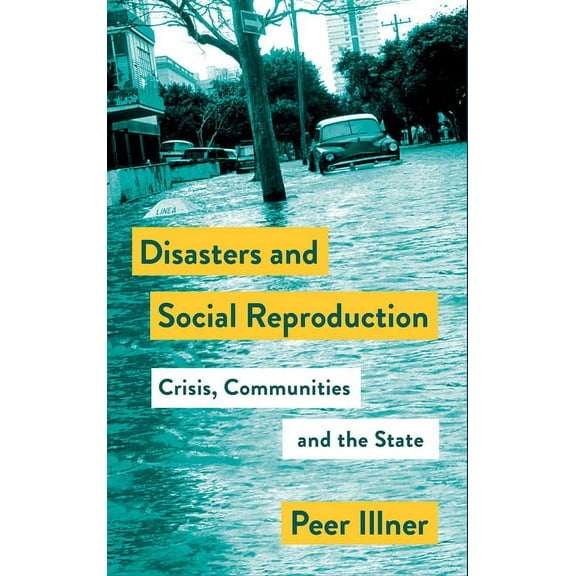 Mapping Social Reproduction Theory: Disasters and Social Reproduction : Crisis Response between the State and Community (Paperback)