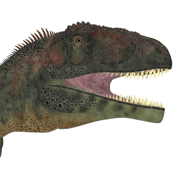 Mapusaurus dinosaur head Poster Print