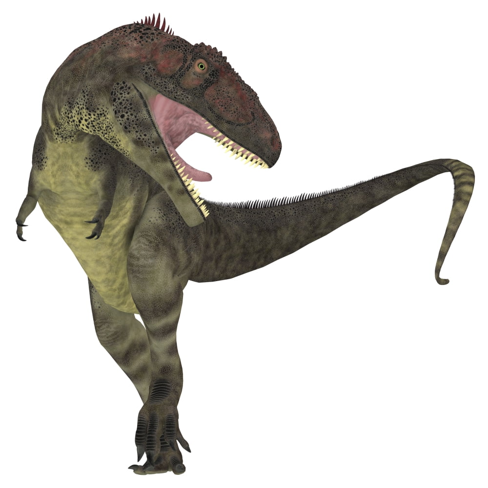 Mapusaurus dinosaur white background Canvas Art - Corey FordStocktrek Images (29 x 29)
