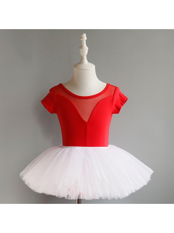 Girls Ballet Dance Dresses Classic Swan Sleeveless Crew Neck Leotard Dress Mesh Tutu Skirt Stretchy Soft for Dance Training Stage Performance and Competition 3-17 Years