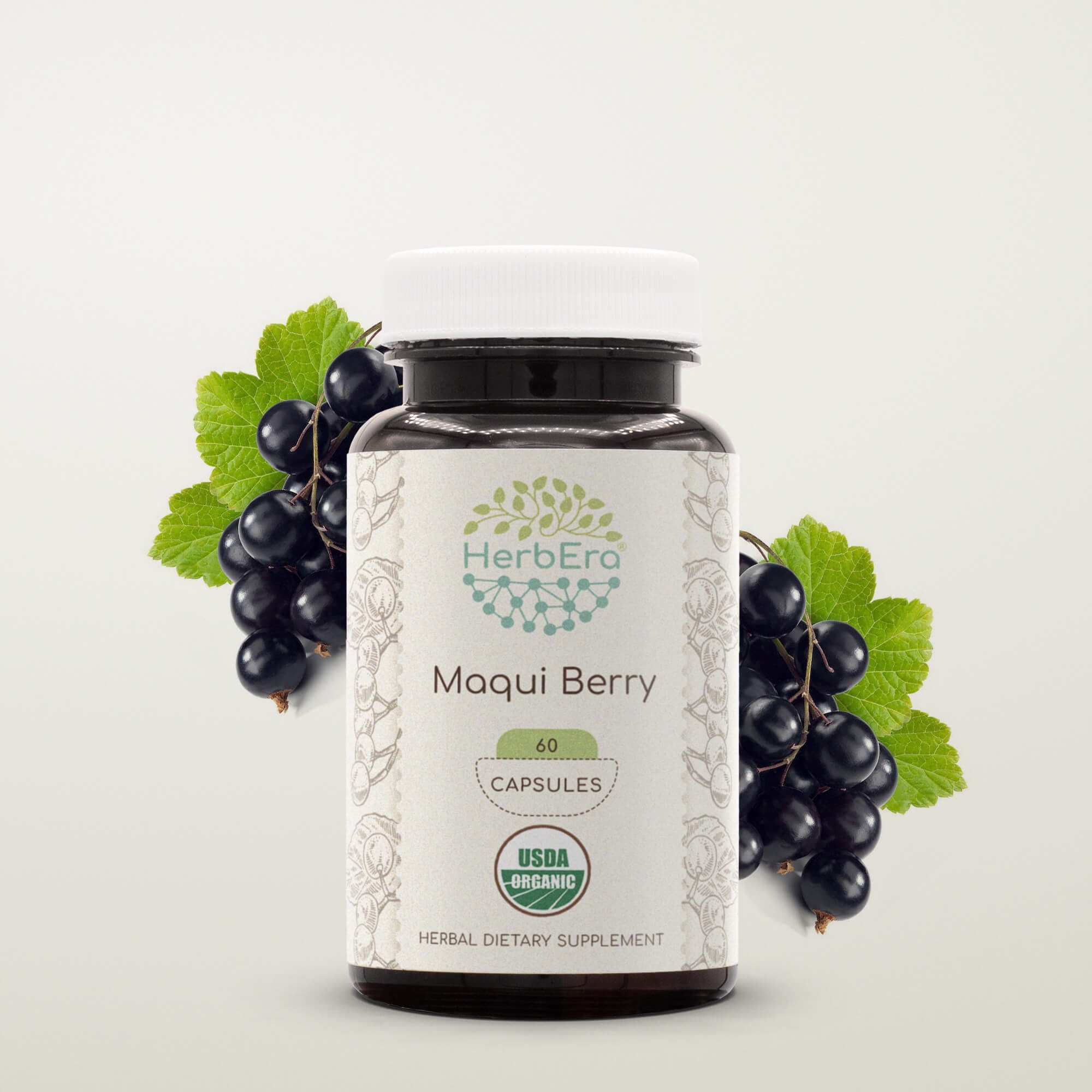 Where To Buy Maqui Berry Near Me HerbEra Maqui berry Capsules, Organic Herbal Dietary Supplement for