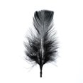 thumbnail image 1 of Marabou 4-6in Black Feathers (3 Headers, 18g), 1 of 5