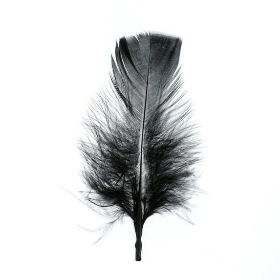 Marabou 4-6in Black Feathers (3 Headers, 18g)