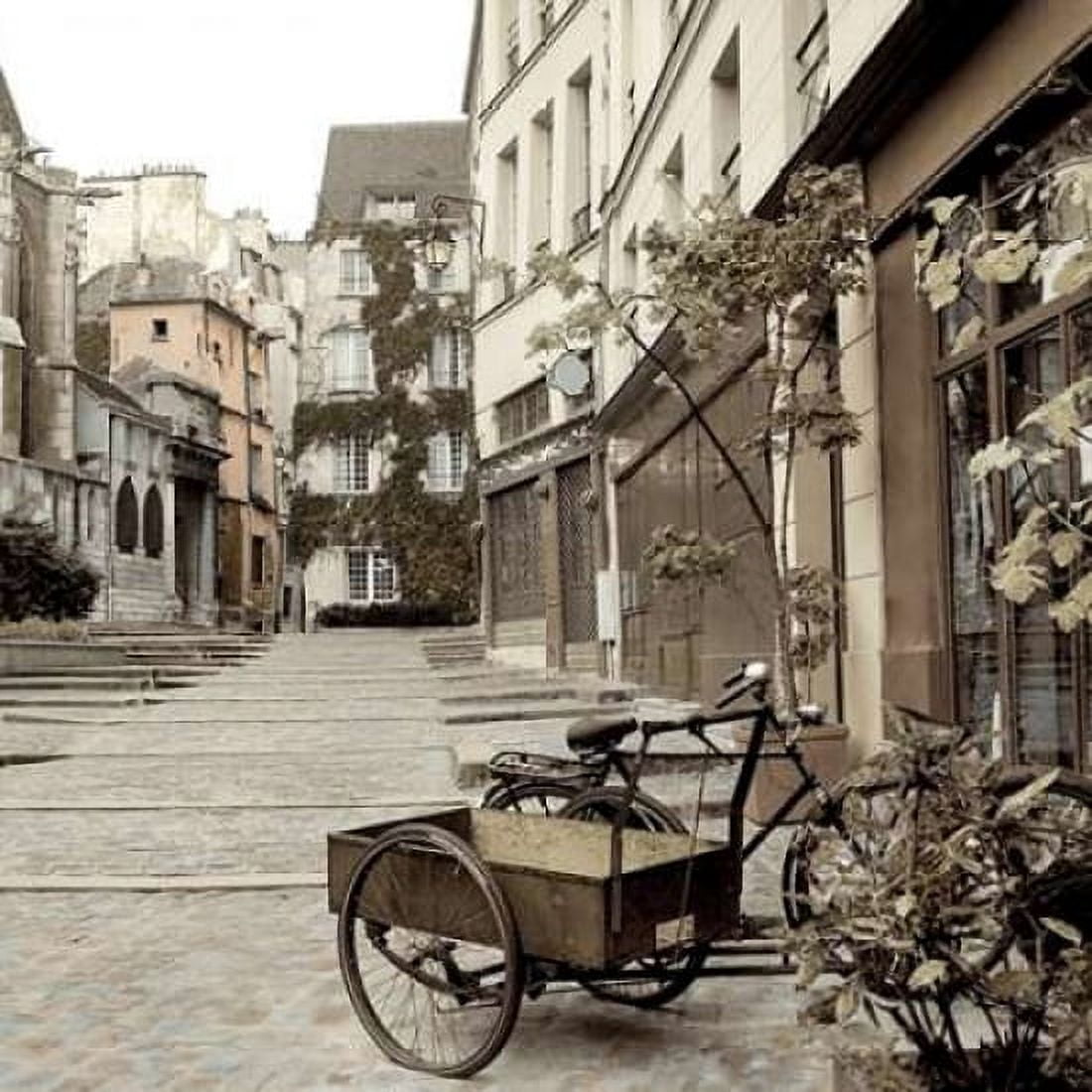 Marais Bicycle Canvas Art - Alan Blaustein (24 x 24)