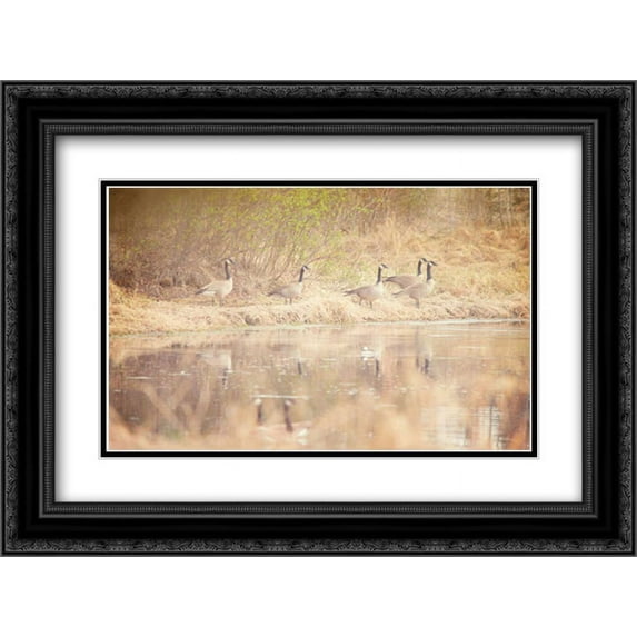 Marauders 2x Matted 24x18 Black Ornate Framed Art Print by Murray, Roberta